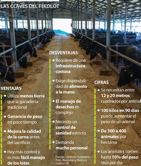Infografía comparativa de la eficiencia de conversión y aumento de peso en feedlot bovino en función de los días de encierre y peso de ingreso.