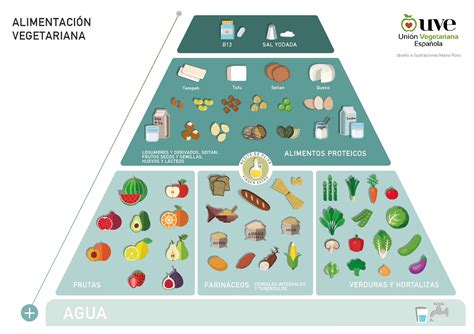 Esquema de la pirámide alimentaria vegetariana y vegana