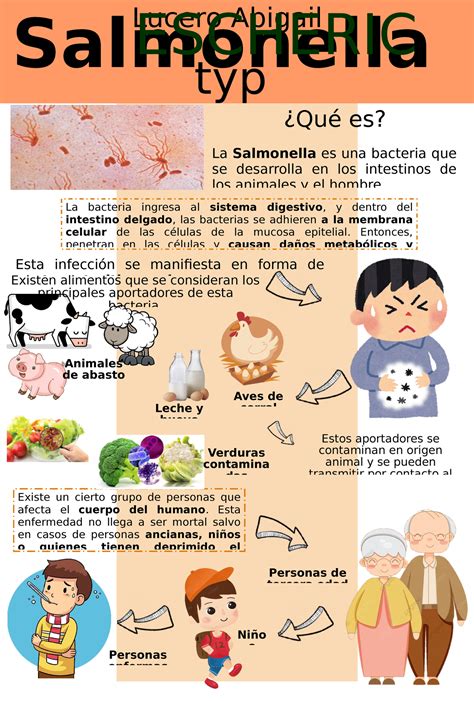 Infografía: Densidad celular y supervivencia de Salmonella en alimentos