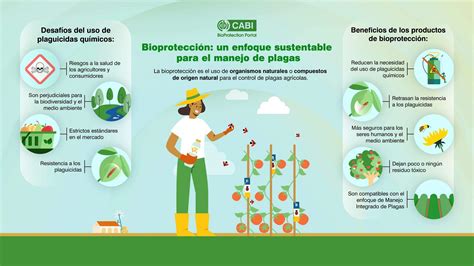 Infografía comparativa de pesticidas químicos vs. agentes de control biológico en agricultura