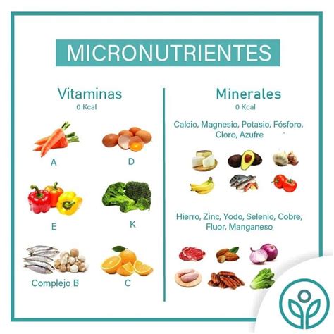 Tabla nutricional con macronutrientes y micronutrientes de la tortilla de porotos verdes