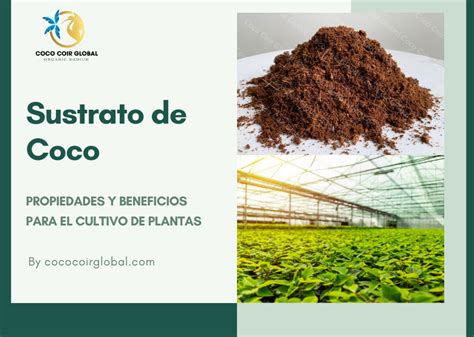 Diagrama que muestra la composición ideal de un sustrato para huerto urbano: perlita, compost, fibra de coco, tierra de hoja.