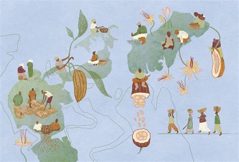 Mapa del origen del cacao en la Amazonía y su expansión