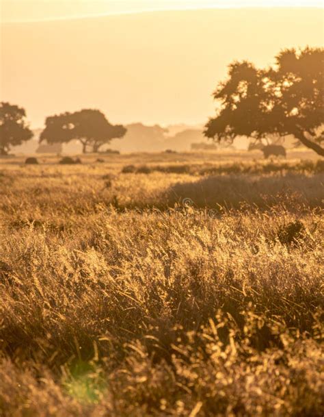 Representación visual de un campo con almiares bajo un cielo crepuscular, evocando la atmósfera del cuento 