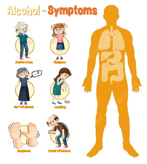 Infografía detallando los efectos del alcohol en diferentes órganos del cuerpo humano