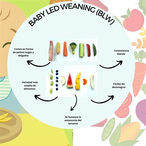 infografía sobre los pasos previos a la introducción de sólidos en bebés (Baby Led Weaning)