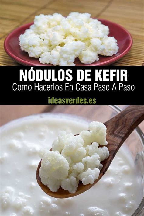 Nódulos de kéfir con aspecto de racimo de coliflor