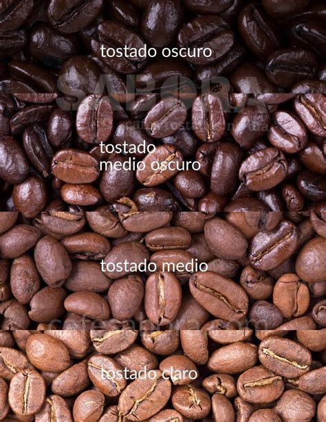 Granos de café tostados de diferentes niveles de tueste (claro, medio, oscuro)