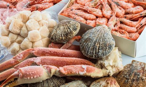 Infografía comparativa de mariscos frescos vs. congelados