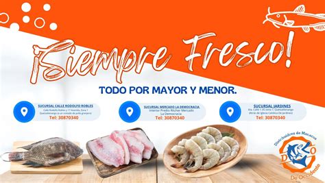 Mapa de área de reparto de una distribuidora de mariscos y pescados