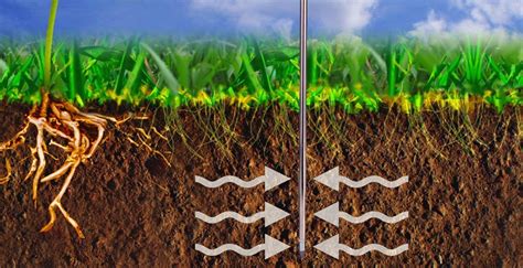 Gráfico mostrando los niveles de humedad del suelo a lo largo de una temporada de crecimiento del maíz.