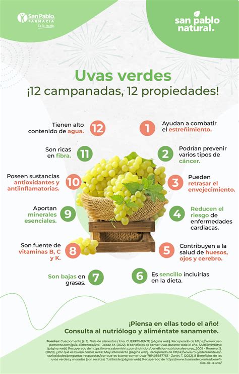 Infografía: Beneficios nutricionales de las sopas verdes