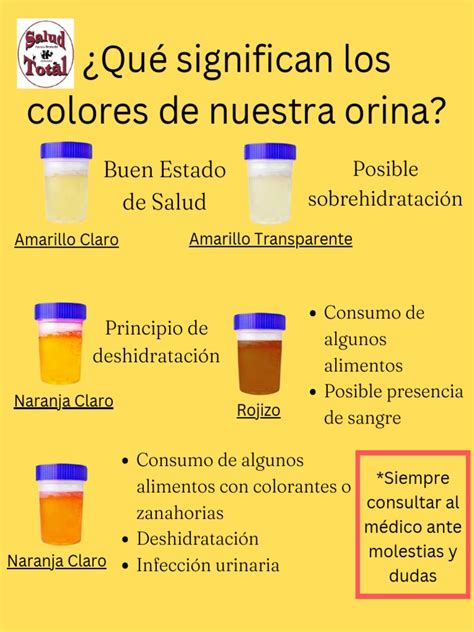 infografía comparativa de los colores de la orina y sus posibles causas