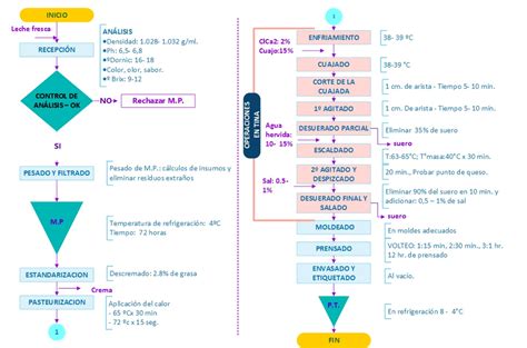 Esquema del proceso de elaboración de la ricotta