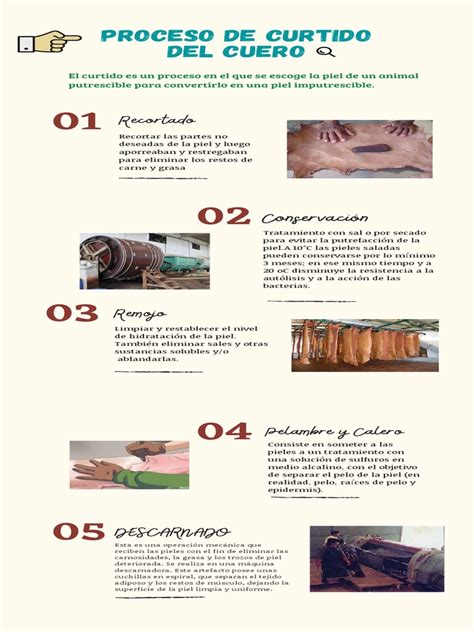 Esquema general del proceso de curtido del cuero