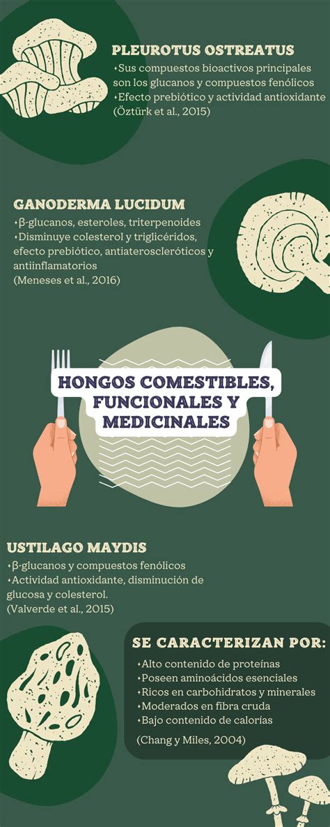 Infografía sobre los beneficios nutricionales y medicinales de los hongos comestibles