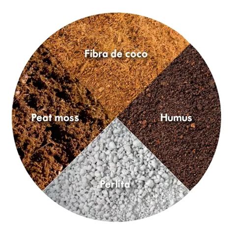 Esquema de las capas de sustrato: fibra de coco, humus de lombriz y perlita para una aireación óptima