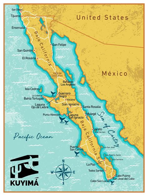 Mapa de Baja California Sur mostrando las bahías de La Paz y Concepción, áreas de recolección de algas