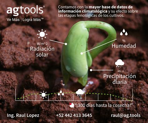 Esquema de las condiciones ideales del suelo para el cultivo de coliflor