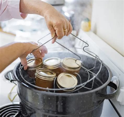 Esquema visual que muestra los tres métodos de fundido: microondas, baño maría y horno de vapor.