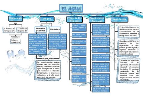 Esquema de las diferentes aplicaciones del agua de cocción de fideos en el hogar.
