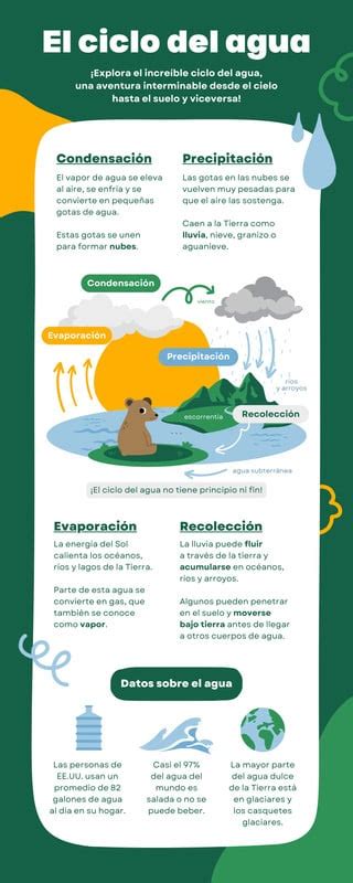 Infografía sobre la química del almidón en el agua de cocción.