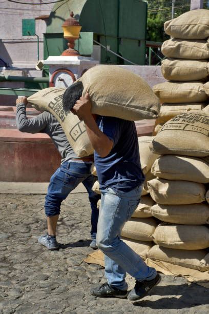 Multitud de personas saqueando un almacén de alimentos en Gaza, cargando sacos de harina y cajas de comida.