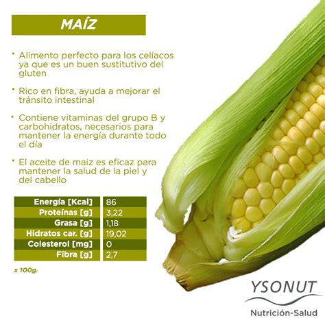 Infografía nutricional: los beneficios del choclo (fibra, magnesio, potasio) y su uso en la gastronomía estacional.