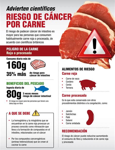 Infografía sobre los beneficios y riesgos nutricionales de las carnes procesadas
