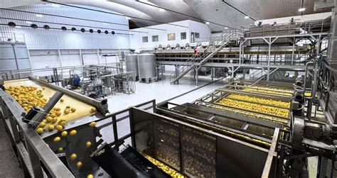 Duraznos siendo lavados en una línea de procesamiento industrial
