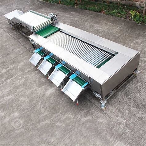 Máquina clasificadora de duraznos por tamaño con rodillos divergentes
