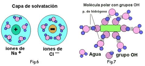 Infografía explicando la interacción de iones de sal con moléculas de agua, impidiendo la formación de cristales de hielo