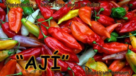 Infografía sobre los beneficios para la salud del ají, incluyendo propiedades antioxidantes y su efecto en el apetito