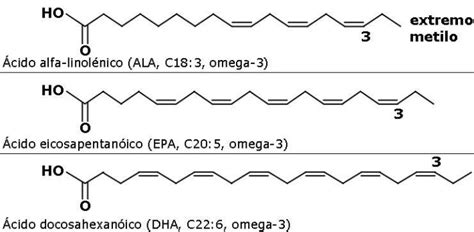 infografía sobre la estructura química de los ácidos grasos omega-3 (EPA y DHA)