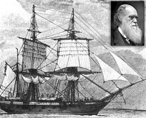 Ilustración de Charles Darwin y el HMS Beagle, con énfasis en la recolección de plantas