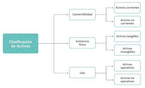 Infografía: Tipos de ingredientes activos en desodorantes y su función