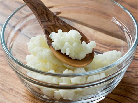 Imagen de granos de kéfir de leche en un frasco con leche, iniciando el proceso de fermentación.