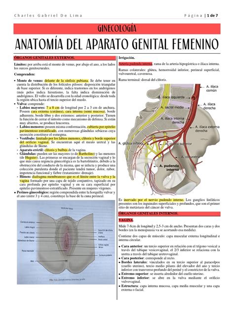 Ilustración detallada de la anatomía interna de la vagina y el clítoris, mostrando la ubicación aproximada del Punto G