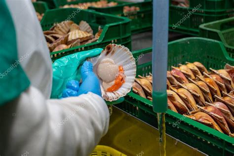 infografía mostrando los pasos de limpieza de mariscos y preparación de la base de verduras