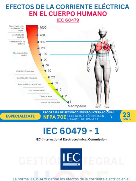 Gráfico ilustrativo de los efectos de la glicirricina en el cuerpo