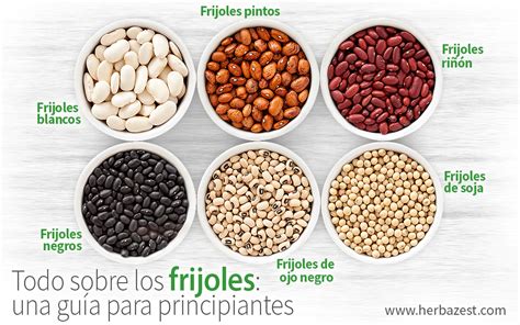 Infografía: Diferentes tipos de frijoles y sus usos en la cocina vegetariana