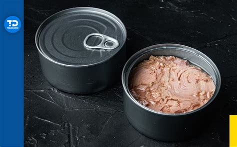 Imagen temática: latas de atún, atún fresco y diferentes ingredientes