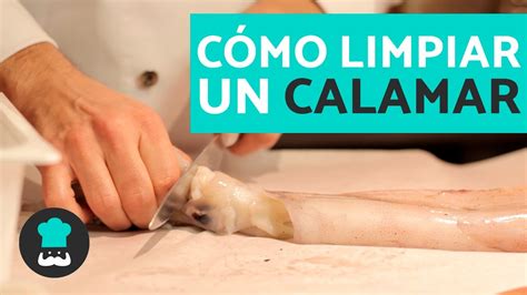 infografía detallada con los pasos para limpiar un calamar