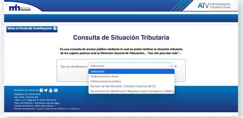 Esquema: Proceso de consulta de la situación tributaria