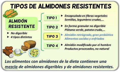 Gráfico comparativo de los tipos de almidón resistente y su digestibilidad