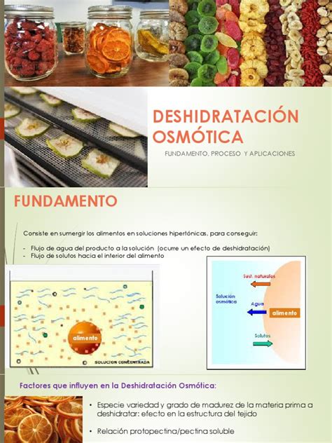 Esquema del proceso de deshidratación osmótica: muestra el intercambio de masa (salida de agua y entrada de solutos) en un tejido vegetal.