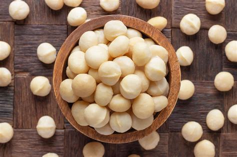 Thematic photo of macadamia nuts