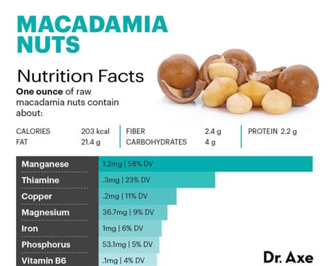 Infografía: Key nutrients and benefits of macadamia nuts