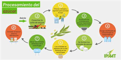 Esquema de las etapas de producción artesanal de vinagre de manzana Nahuelbuta, desde la recolección de manzanas hasta el embotellado final