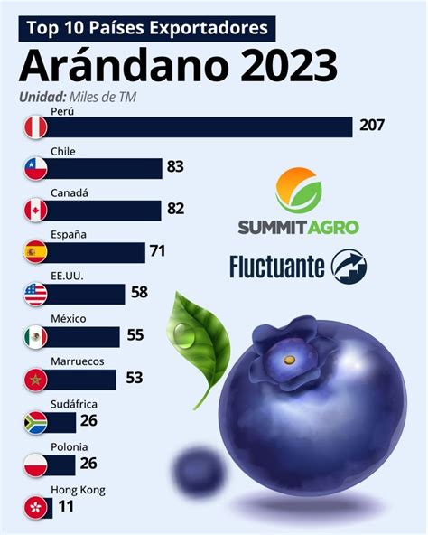 Infografía: principales países exportadores de arándanos y sus volúmenes